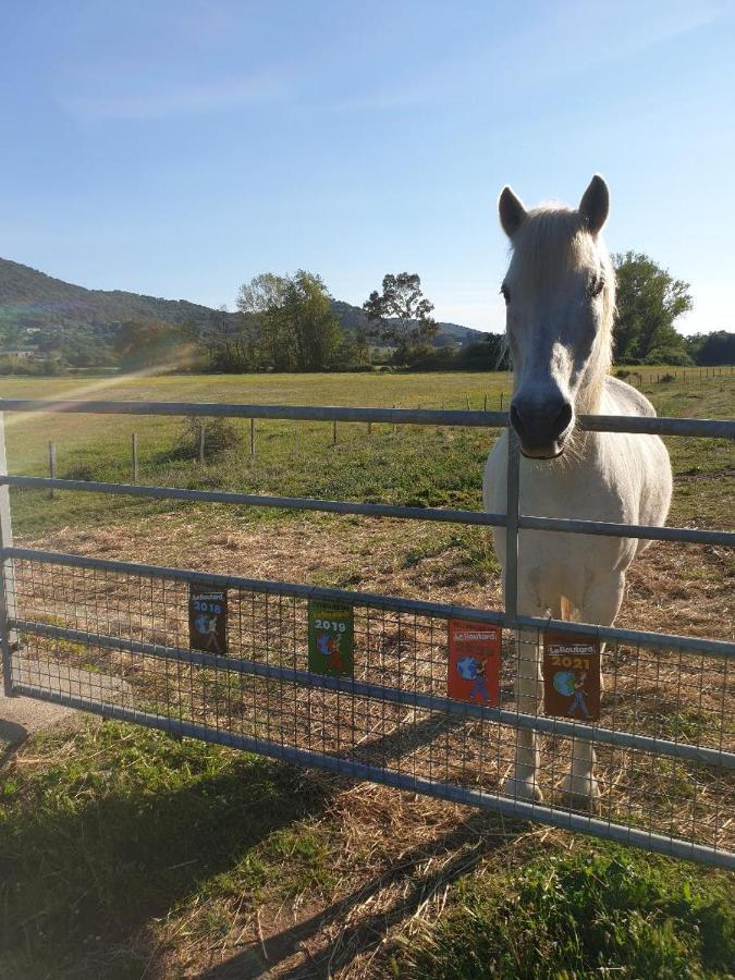 Ferme De Chiuni Villa Cargèse Dış mekan fotoğraf
