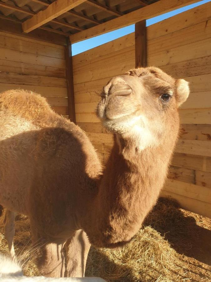 Ferme De Chiuni Villa Cargèse Dış mekan fotoğraf