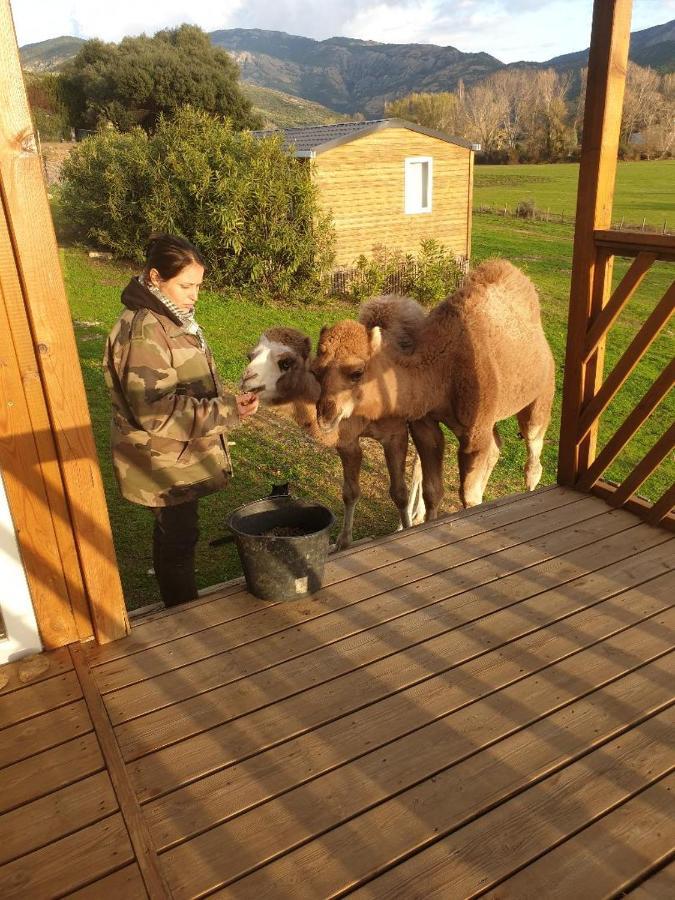 Ferme De Chiuni Villa Cargèse Dış mekan fotoğraf
