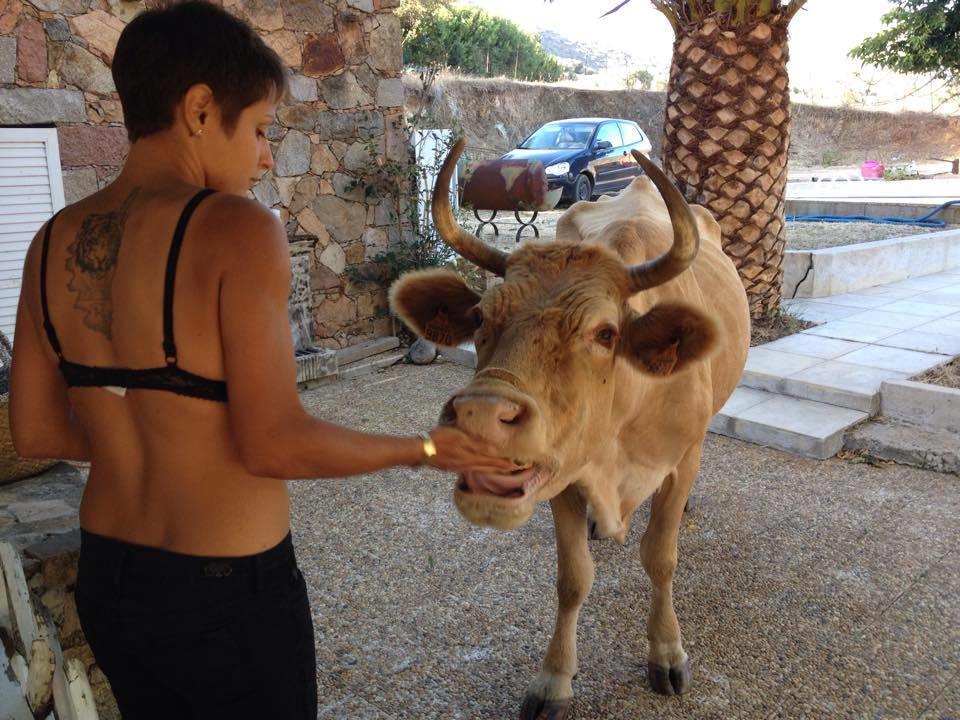 Ferme De Chiuni Villa Cargèse Dış mekan fotoğraf