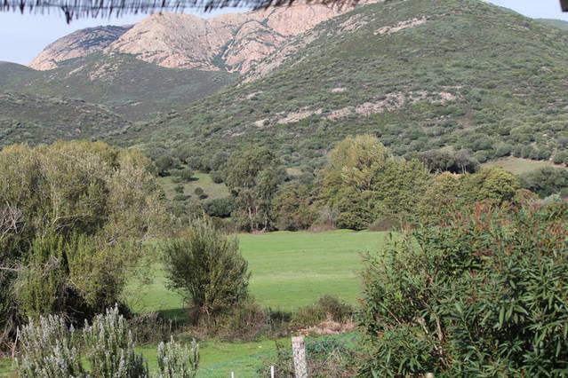Ferme De Chiuni Villa Cargèse Oda fotoğraf