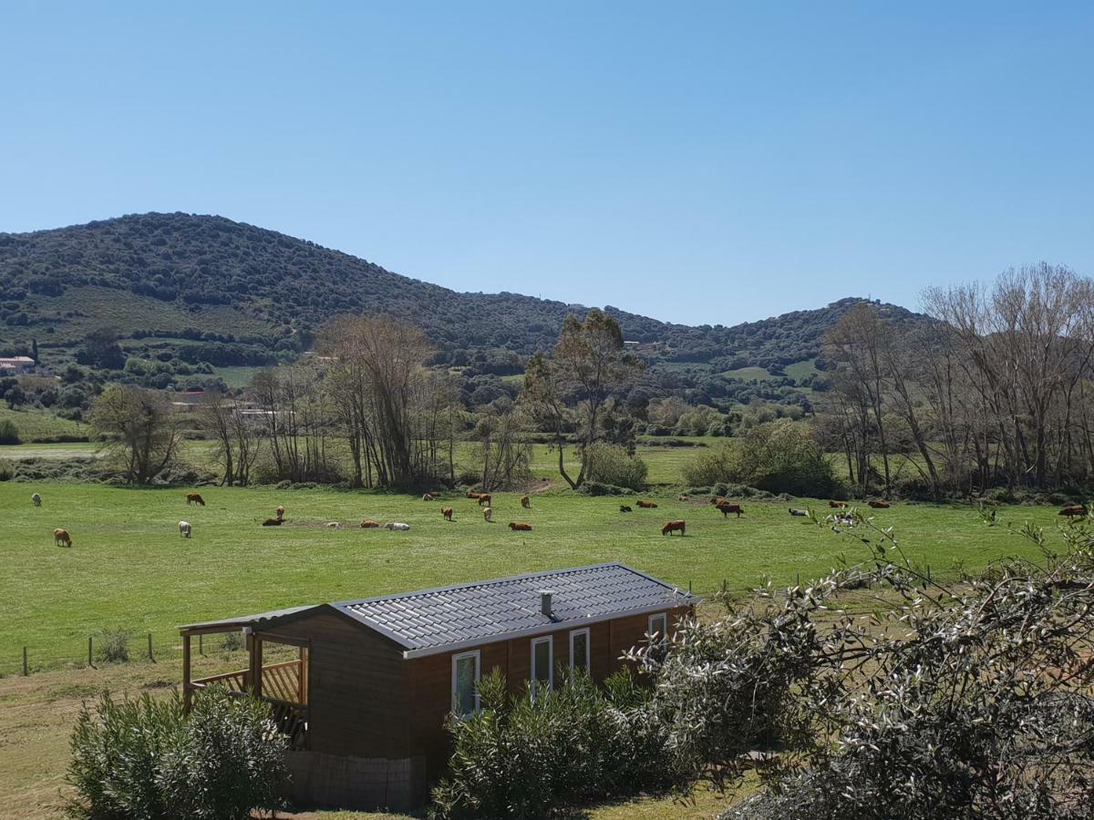 Ferme De Chiuni Villa Cargèse Dış mekan fotoğraf