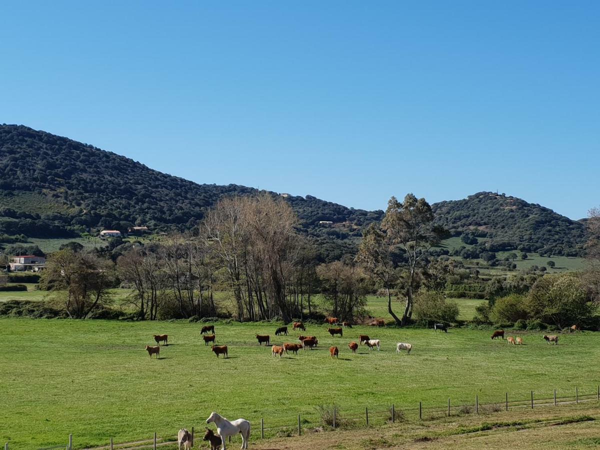 Ferme De Chiuni Villa Cargèse Dış mekan fotoğraf